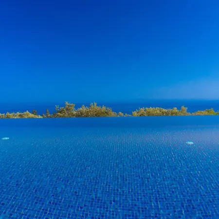 Shades Of Blue * טרפזאקי